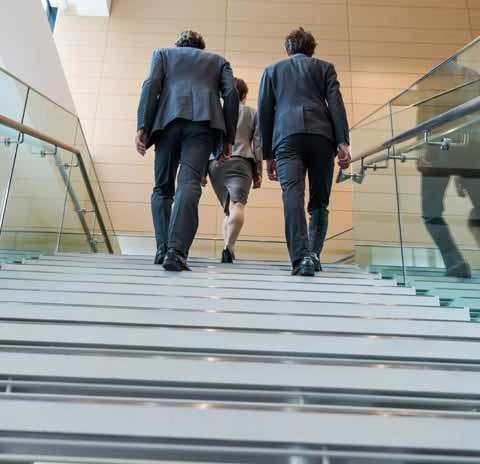 Employment Law Photo Image